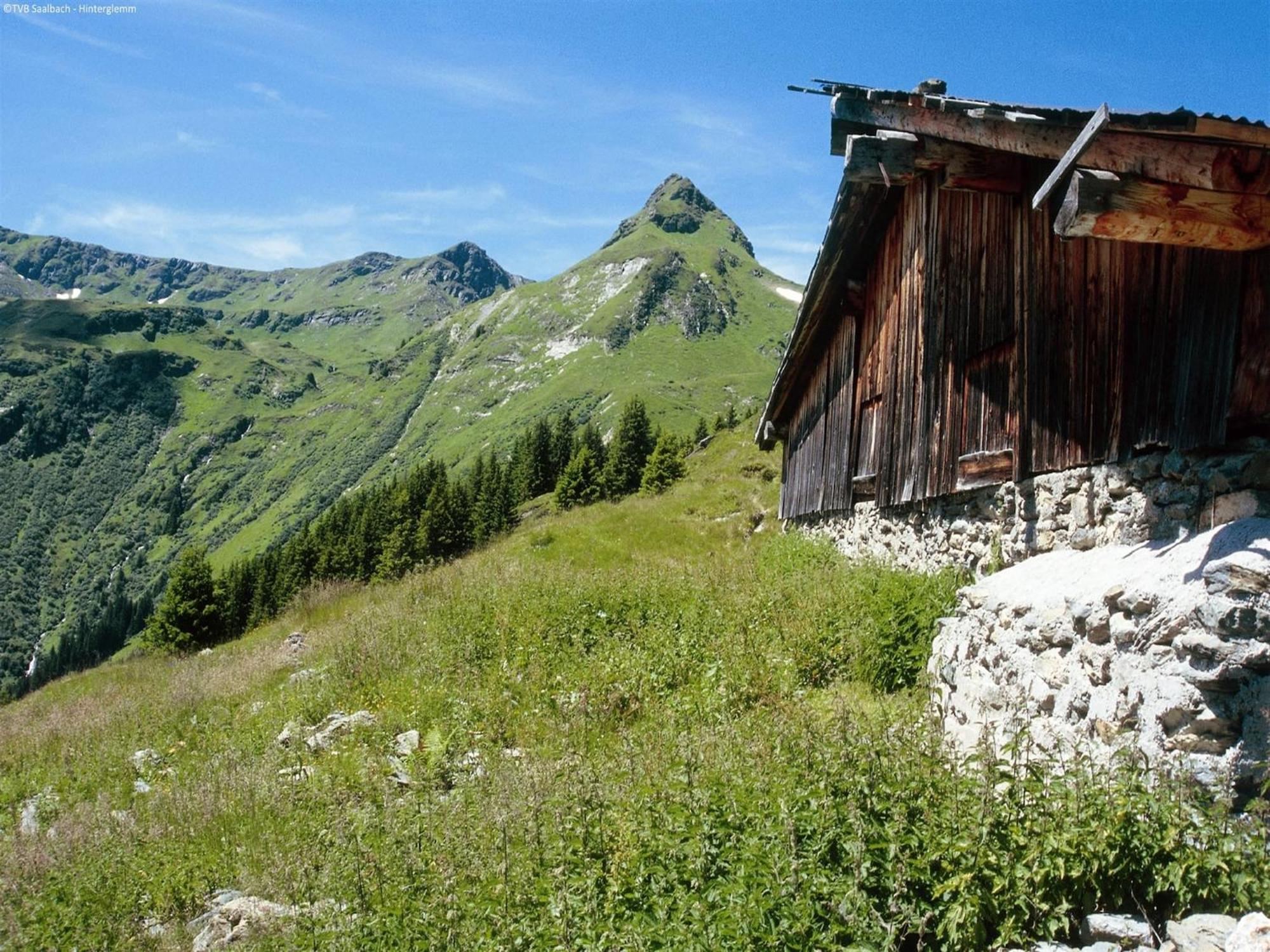 Villa Modern Chalet with Sauna near Ski Area in Salzburg Saalbach Exterior foto